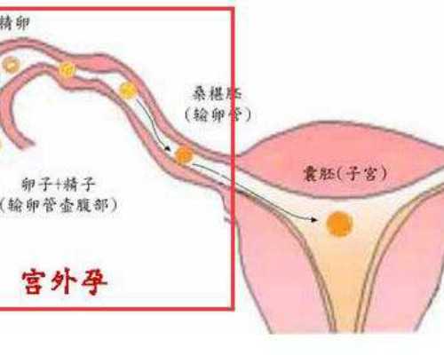 可靠代怀医院,重大发现：上海助孕孩子价格-很难怀孕吃什么能助孕