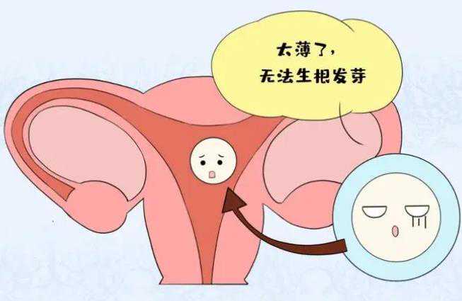 哪里代怀孕最好_代怀生男孩宝宝,上海胚胎染色体异常做三代试管_试管助孕生子
