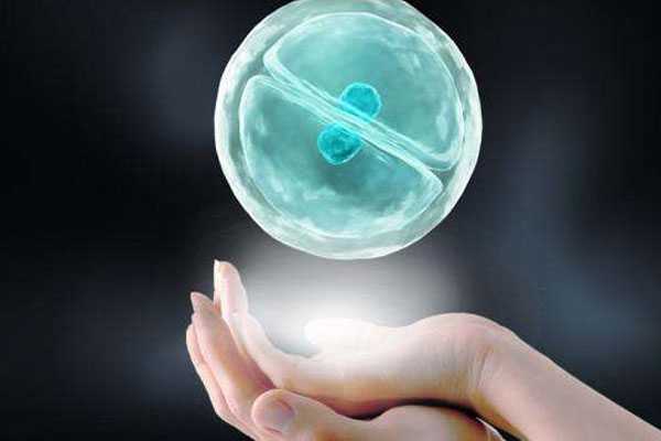 供卵推广_卵巢早衰供卵价格_想在体内植入两个胚胎，上海中山医院可以做试管